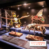 Poison au Palais de la Découverte, les photos 