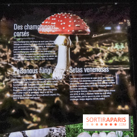 Poison au Palais de la Découverte, les photos 