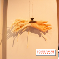 Reality Check au Cinq Codet