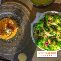 Shirvan, l'adresse métissée de l'Alma 