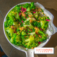 Shirvan, l'adresse métissée de l'Alma 