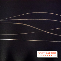 Carte Blanche à Tomas Saraceno au Palais de Tokyo