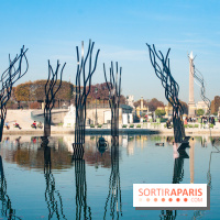 FIAC 2018 au Jardin des Tuileries :  Pablo Reinoso, Le Cercle, 2018