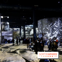 Terra Magnifica à L'Atelier des Lumières