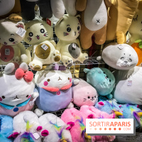 Paris Games Week 2018, les photos