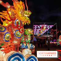 Thoiry Lumières Sauvages,lions