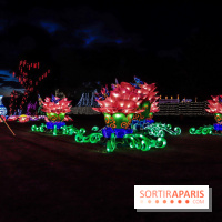 Thoiry Lumières Sauvages, les photos