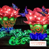 Thoiry Lumières Sauvages, les photos