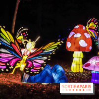 Thoiry Lumières Sauvages, les photos