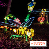 Thoiry Lumières Sauvages, les photos