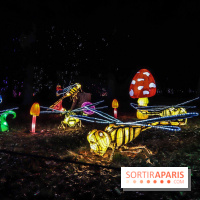 Thoiry Lumières Sauvages, les photos