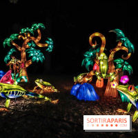 Thoiry Lumières Sauvages, les photos images