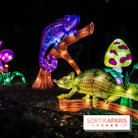 Thoiry Lumières Sauvages, les photos