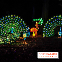 Thoiry Lumières Sauvages, les photos