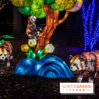 Thoiry Lumières Sauvages, les photos