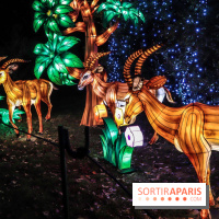 Thoiry Lumières Sauvages, les photos