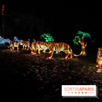 Thoiry Lumières Sauvages, les photos