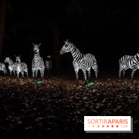 Thoiry Lumières Sauvages, les photos