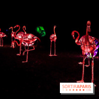 Thoiry Lumières Sauvages, les photos