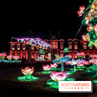 Thoiry Lumières Sauvages, les photos