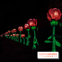 Thoiry Lumières Sauvages, les photos