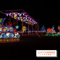 Thoiry Lumières Sauvages, les photos lions