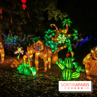 Thoiry Lumières Sauvages, les photos images