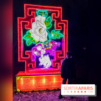 Thoiry Lumières Sauvages, les photos