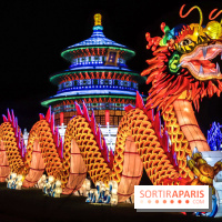 Thoiry Lumières Sauvages, les photos