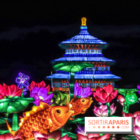 Thoiry Lumières Sauvages, les photos