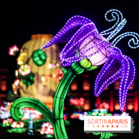 Thoiry Lumières Sauvages, les photos