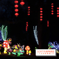 Thoiry Lumières Sauvages, les photos