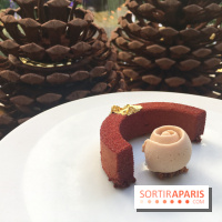 Bûche de Noël 2018 de Maxime Frédéric pour le George V