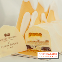Bûche de Noël 2018 de Royal Monceau x Pierre Hermé