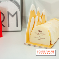 Bûche de Noël 2018 de Royal Monceau x Pierre Hermé