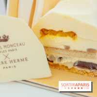 Bûche de Noël 2018 de Royal Monceau x Pierre Hermé