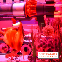 L'inauguration des vitrines de Noël 2018 du Printemps par Laëtitia Casta