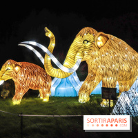Festival de Lumières au Jardin des Plantes : Espèces en voie d’illumination