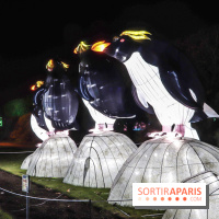Festival de Lumières au Jardin des Plantes : Espèces en voie d’illumination