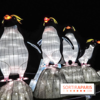 Festival de Lumières au Jardin des Plantes : Espèces en voie d’illumination