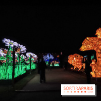 Festival de Lumières au Jardin des Plantes : Espèces en voie d’illumination