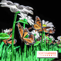 Festival de Lumières au Jardin des Plantes : Espèces en voie d’illumination