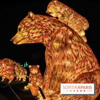 Festival de Lumières au Jardin des Plantes : Espèces en voie d’illumination