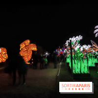 Festival de Lumières au Jardin des Plantes : Espèces en voie d’illumination