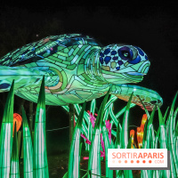 Festival de Lumières au Jardin des Plantes : Espèces en voie d’illumination - tortues