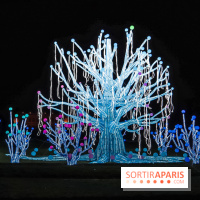 Festival de Lumières au Jardin des Plantes : Espèces en voie d’illumination