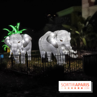 Festival de Lumières au Jardin des Plantes : Espèces en voie d’illumination