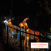 Festival de Lumières au Jardin des Plantes : Espèces en voie d’illumination