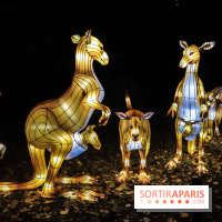Festival de Lumières au Jardin des Plantes : Espèces en voie d’illumination