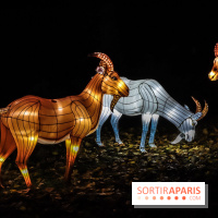 Festival de Lumières au Jardin des Plantes : Espèces en voie d’illumination